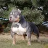 Frederick Patty - @frederick.patty - TikTok