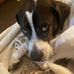 Patty Frederick - Facebook