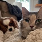 Patty Fredericks - Facebook