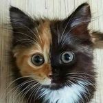 Patti Funk - @patti.funk.5 - Instagram