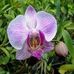 Patty Gabel - Facebook