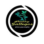 Patty Gallegos - @creaciones_patty_gallegos - Instagram