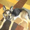 Patty Gardner - @patty.gardner11 - TikTok