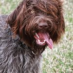 Patty Geist - @ethellover - Instagram