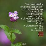 Patty German - @pattymarino.78 - Instagram