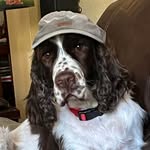 Patti Gillette - @pattijet - Instagram