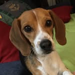 Patti Olsgard Gillette - @patti.o.gillette - Instagram