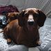 Patti Goff - Facebook