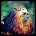 Patty Goldman - @pattygoldman7 - Instagram