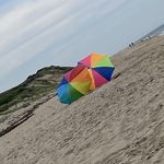 Patty Goodman - @drpgoodman - Instagram