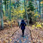 Patty Goodwin - @pattygoodwin45 - Instagram