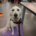 Patty Goodwin - @pattygoodwin55 - Instagram