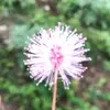 Patty.Goodwin - @jay361222e2 - TikTok