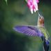Patty Gormley - Facebook