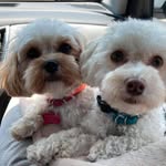 Patty Sullivan Granger - @psgranger8 - Instagram