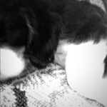 Patty Grider Young - @patty.young.1952 - Instagram