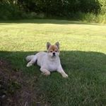 Patty Griffin - @pcg1925 - Instagram