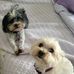 Patty Hardesty Adams - Facebook