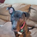 Patty Harrell - @pattyh0802 - Instagram