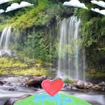Patty Harrell - Facebook