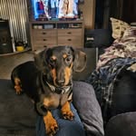 Patty Mullenbach Harrell - @harrellpatty - Instagram