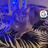 patty_hatfield - @patty_hatfield - TikTok