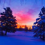 Patty Muhlhauser - @pattymuhlhauser - Instagram