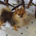 Patty Hawke - Facebook