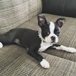 Patty Heard - @patty.hard - Instagram