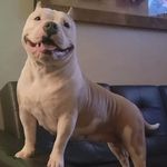 Patty Hearst - @patty_badbitch_hearst - Instagram
