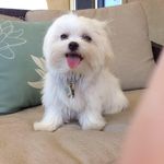 Patty Katz-Hedden - @pattykatzhedden - Instagram