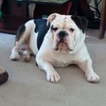 Patti hedrick - @hedrick0115 - Instagram