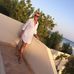 Patricia Heidel - Facebook