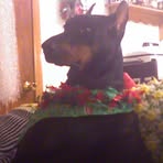 Patty Heil - Facebook