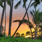 Patty Jensen Heil - @mpheil - Instagram