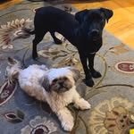 Patti Heller Devine - @patti.h.devine - Instagram