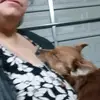 pattyheller6 - @pattyheller6 - TikTok