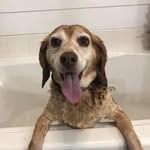 Patty Helms-Morgan - @morganp6 - Instagram