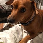 Patty Hemminger - @pattyhemminger - Instagram