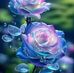 Patty Hempstead - Facebook