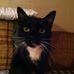 Patty Hempstead - Facebook