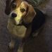 Patti Hendricks - Facebook