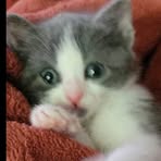 Patty Henninger - Facebook