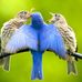 Patty Herring - Facebook