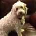 Patty Herron - Facebook