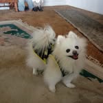 Patricia Hess - @pattyhess1962 - Instagram