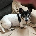 Patty Hess - @patty95526 - Instagram