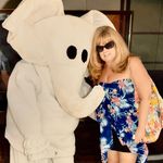 Patty Hess-Janus - @pattyja2003 - Instagram