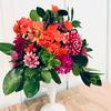 user1436214012233 - @patty_hess - TikTok