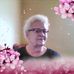 Patty Hester - Facebook